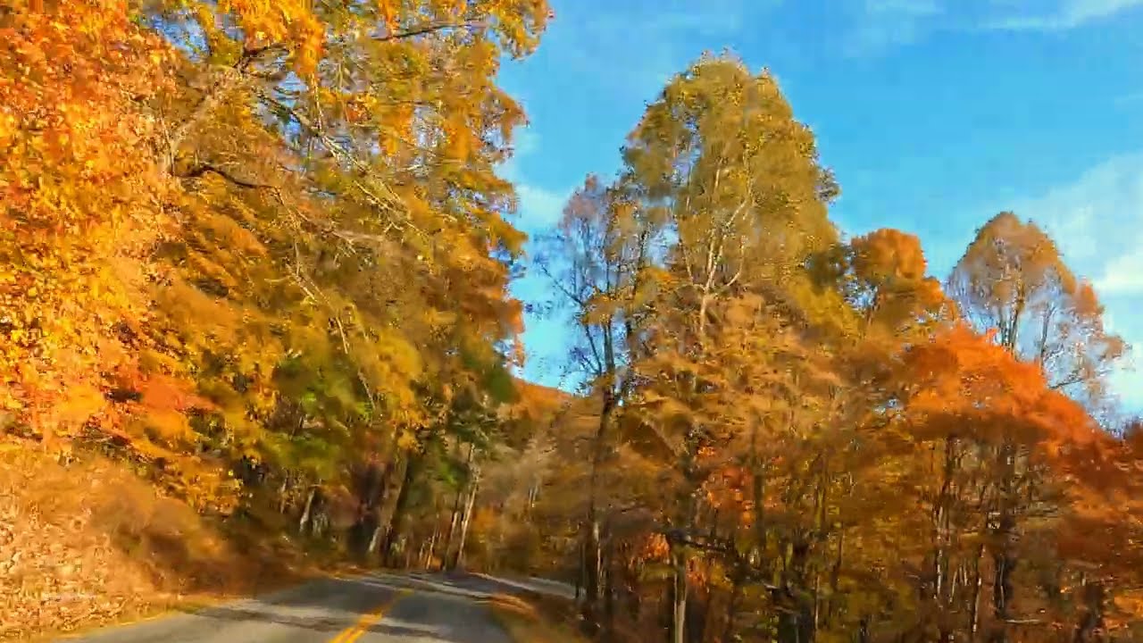 Peak Colors Blue Ridge Parkway - Asheville, NC