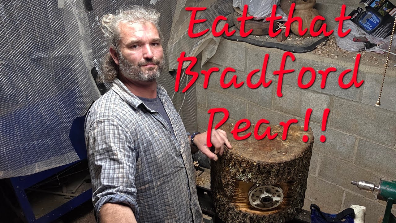 Come join me in turning this massive chunk of Bradford Pear into a bowl!!!