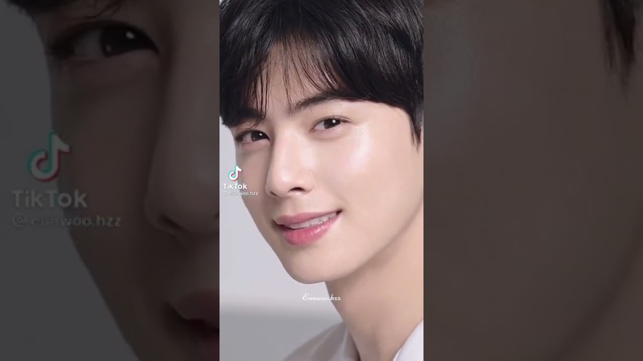 Astro Cha Eunwoo tiktok edits / compilation because his visual is on another level