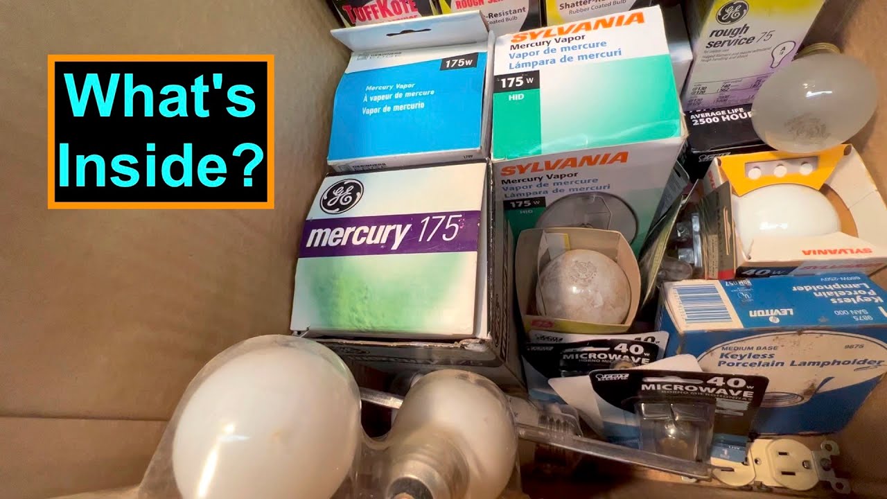 Box of Auction Light Bulbs - What's Inside?