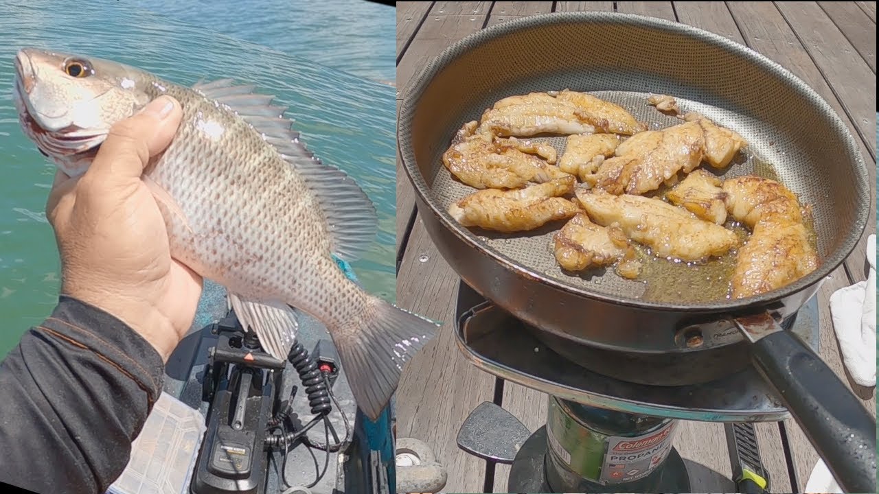 SUPER EASY Way To Catch LOADS of Mangrove Snapper (Kayak Catch and Cook) Fishing With Shrimp