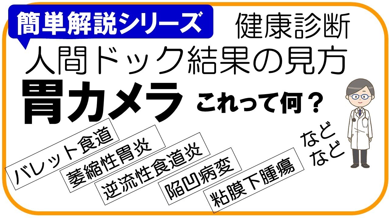 【人間ドック結果の見方】上部消化管内視鏡検査（胃カメラ）、健康診断結果の見方
