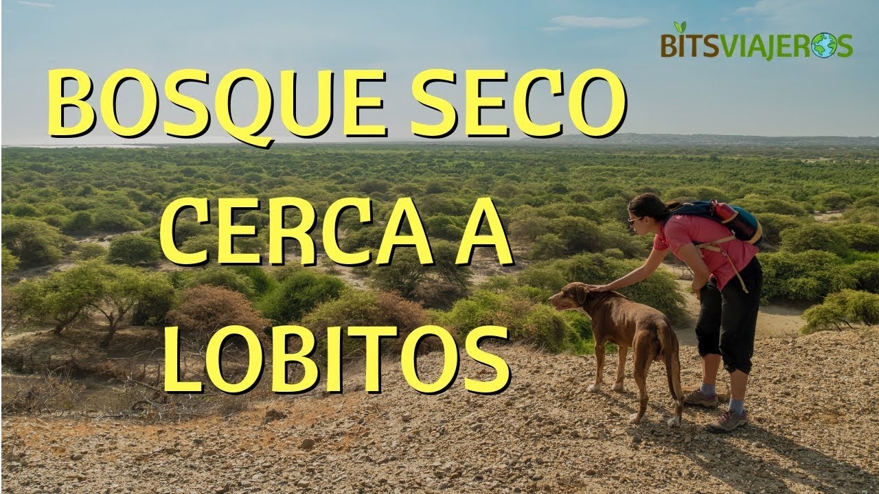 Lobitos - Piura 2/4: Bosque Seco