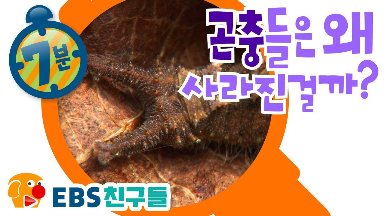 [EBS친구들][명탐정 피트]곤충들은 왜 사라진 걸까