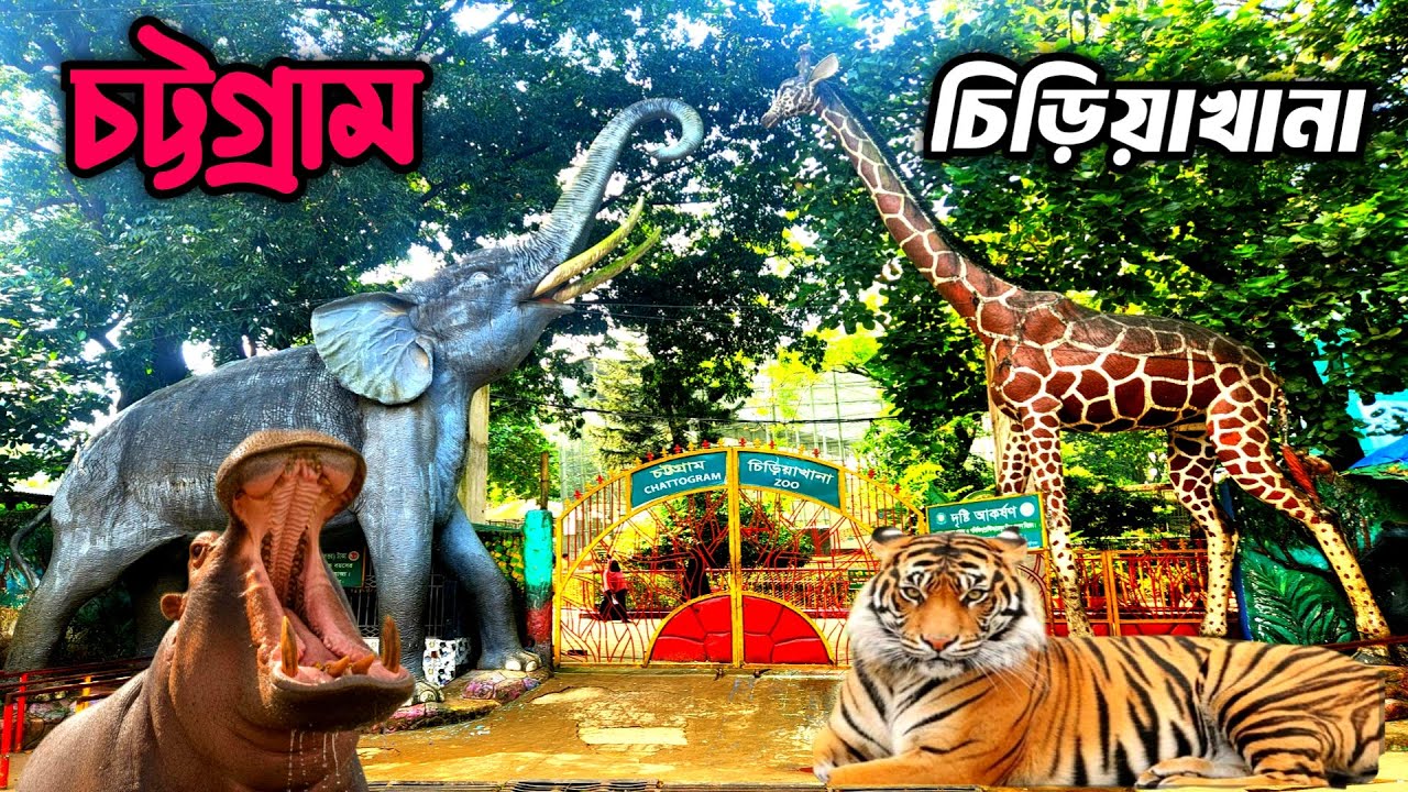 চট্টগ্রাম চিড়াখানা বেশকিছু নতুন আকর্ষণ নিয়ে নতুন রূপে | chattagram zoo | চট্টগ্রাম চিড়িয়াখানা