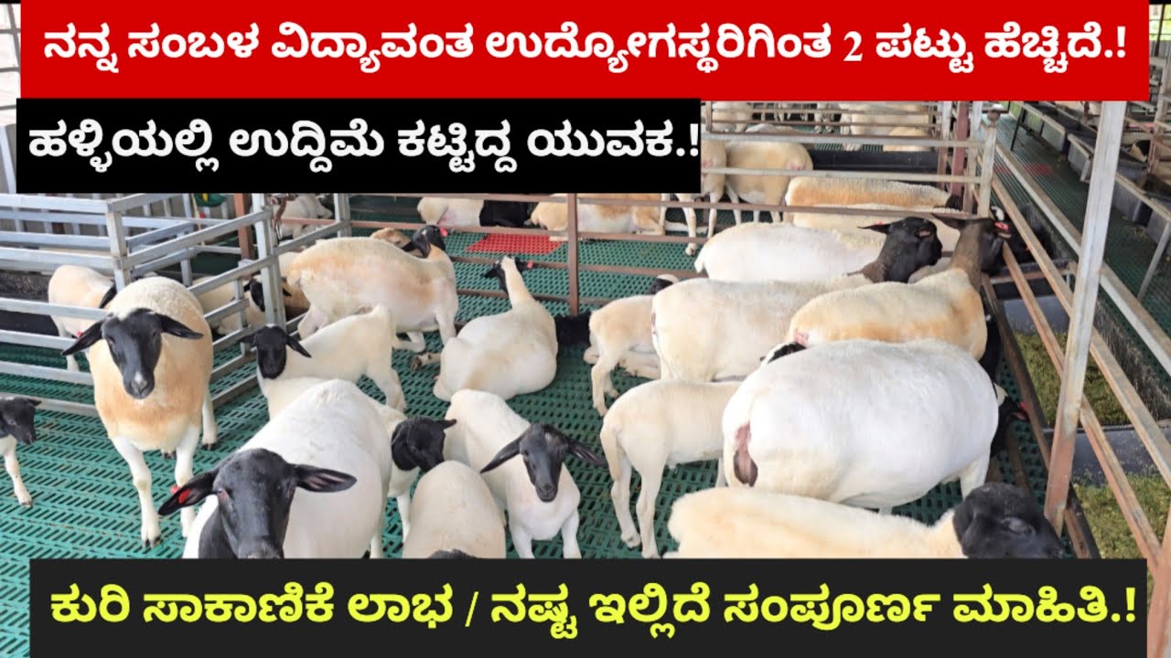 ನನ್ನ ಸಂಬಳ ವಿದ್ಯಾವಂತ ಉದ್ಯೋಗಸ್ಥರಿಗಿಂತ 2 ಪಟ್ಟು ಹೆಚ್ಚಿದೆ.! ಹಳ್ಳಿಯಲ್ಲಿ ಉದ್ದಿಮೆ ಮಾಡುತ್ತಿದ್ದೇನೆ.!