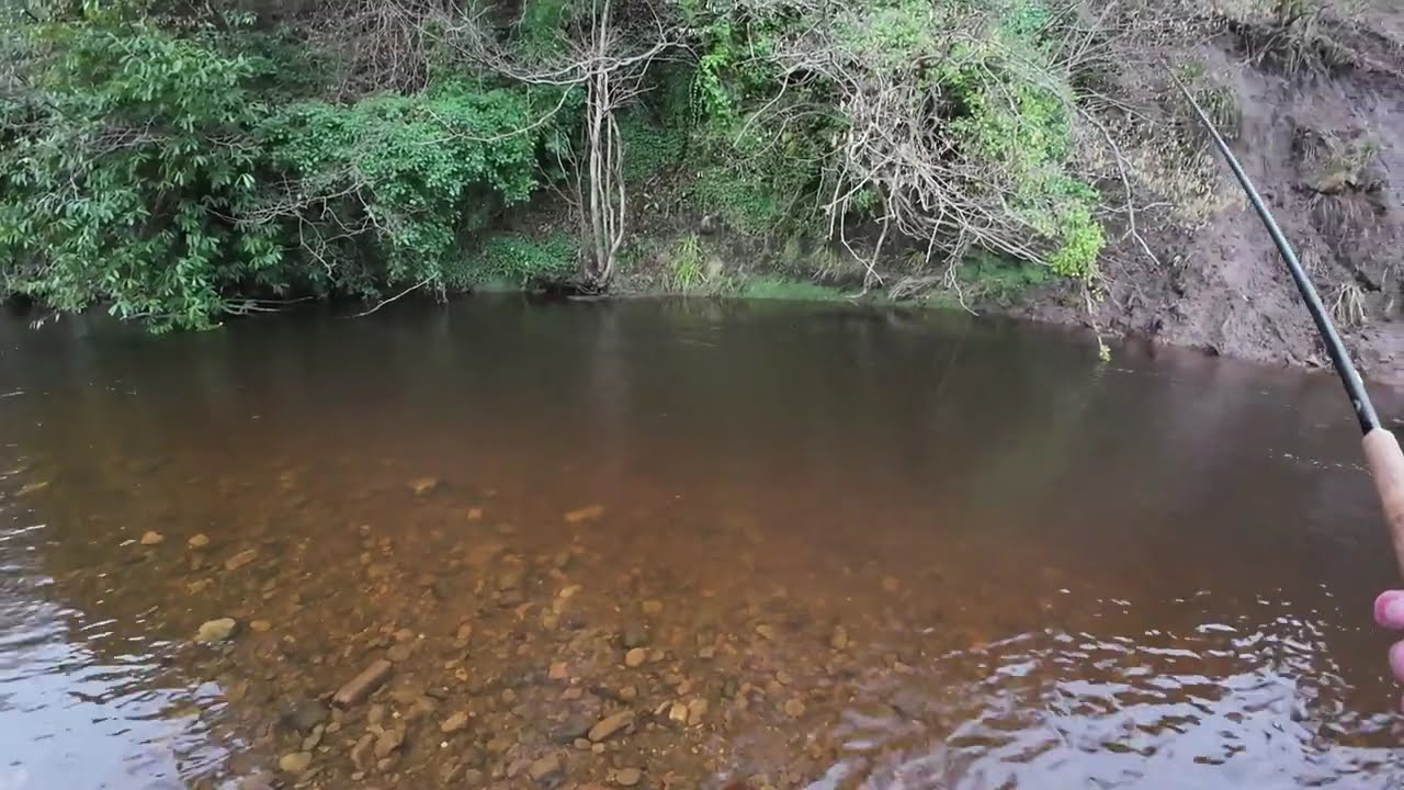 RiverNorthEsk140126