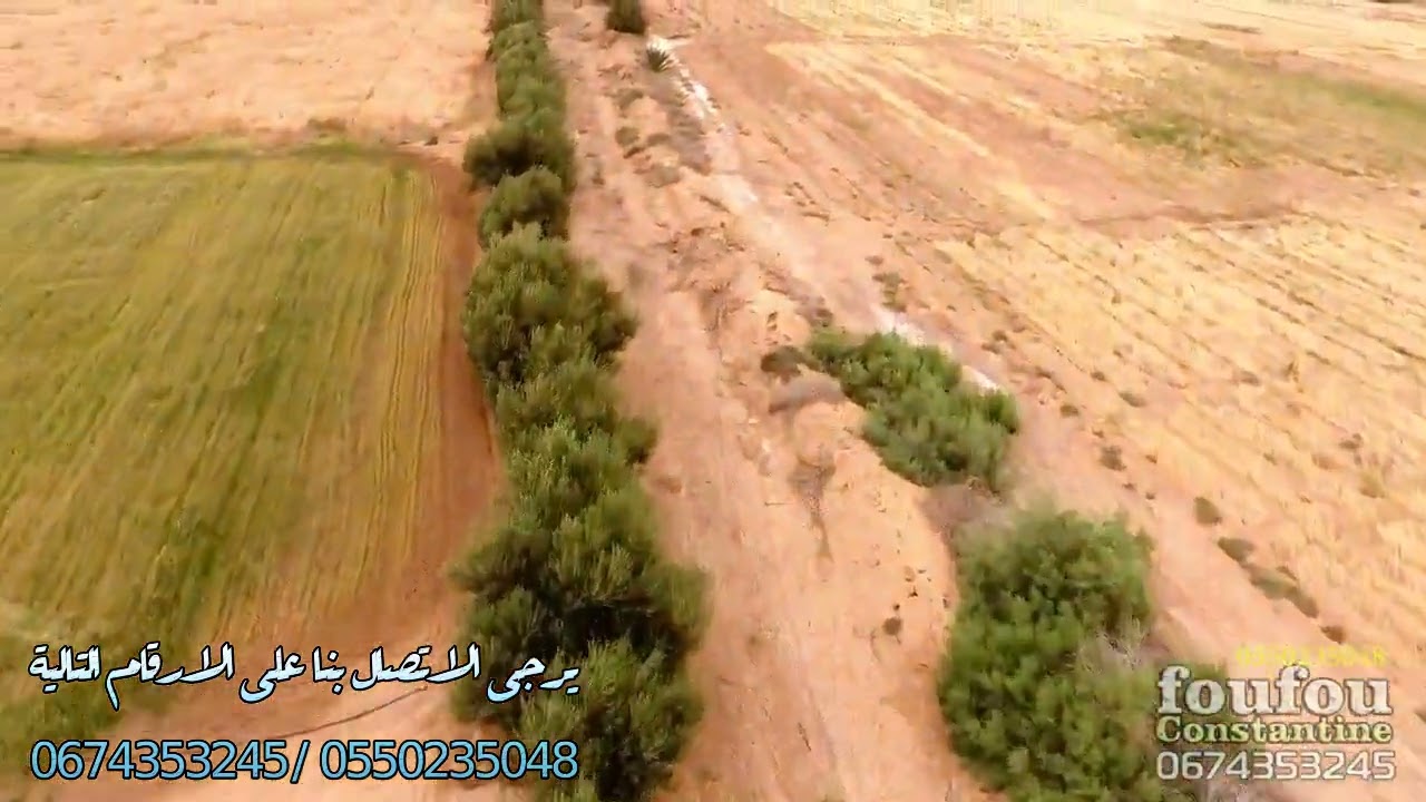biskra land for sale بسكرة   قطعة ارض للبيع