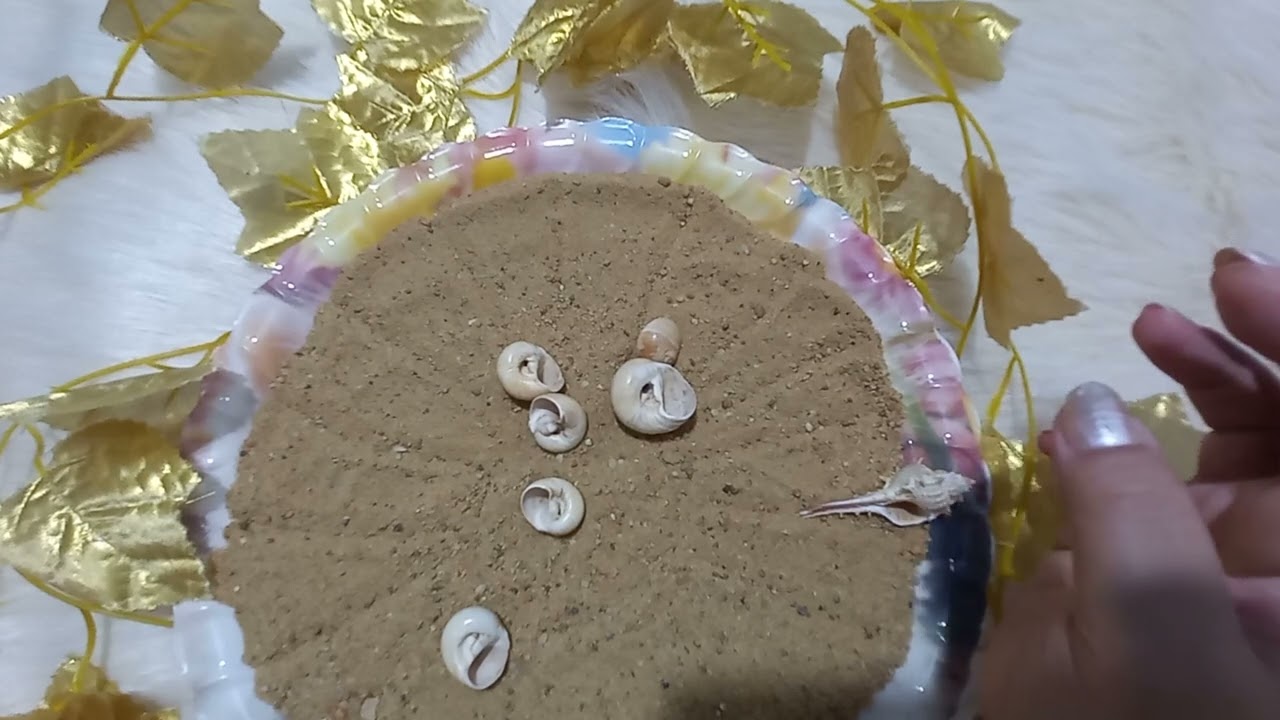 القراءة بالرمال والودع لبرج الدلو ⚱️😇