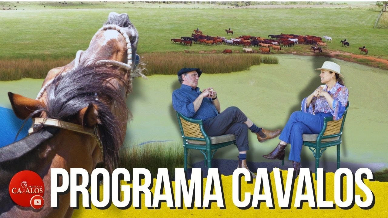 O Garanhão Sucessor de Jacarta na Criação de Cavalos Crioulos da Capanegra