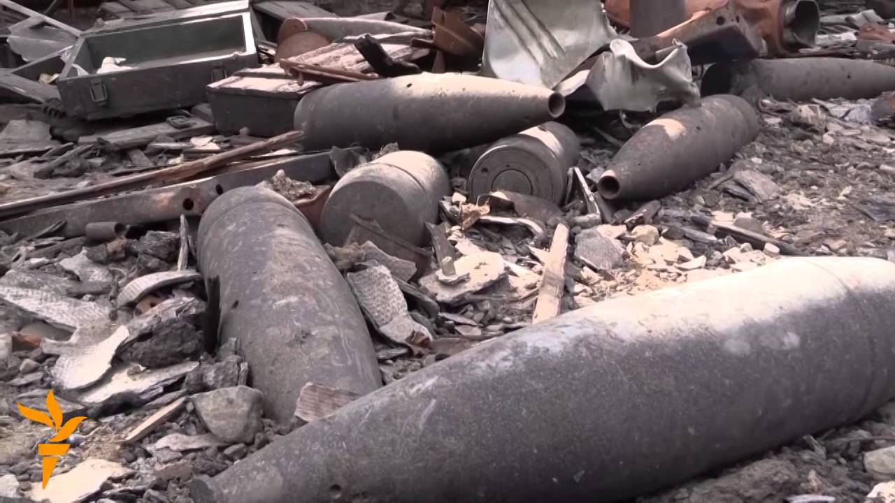 Demining Dog Helps Sappers Clear Battlefields Of Donbas