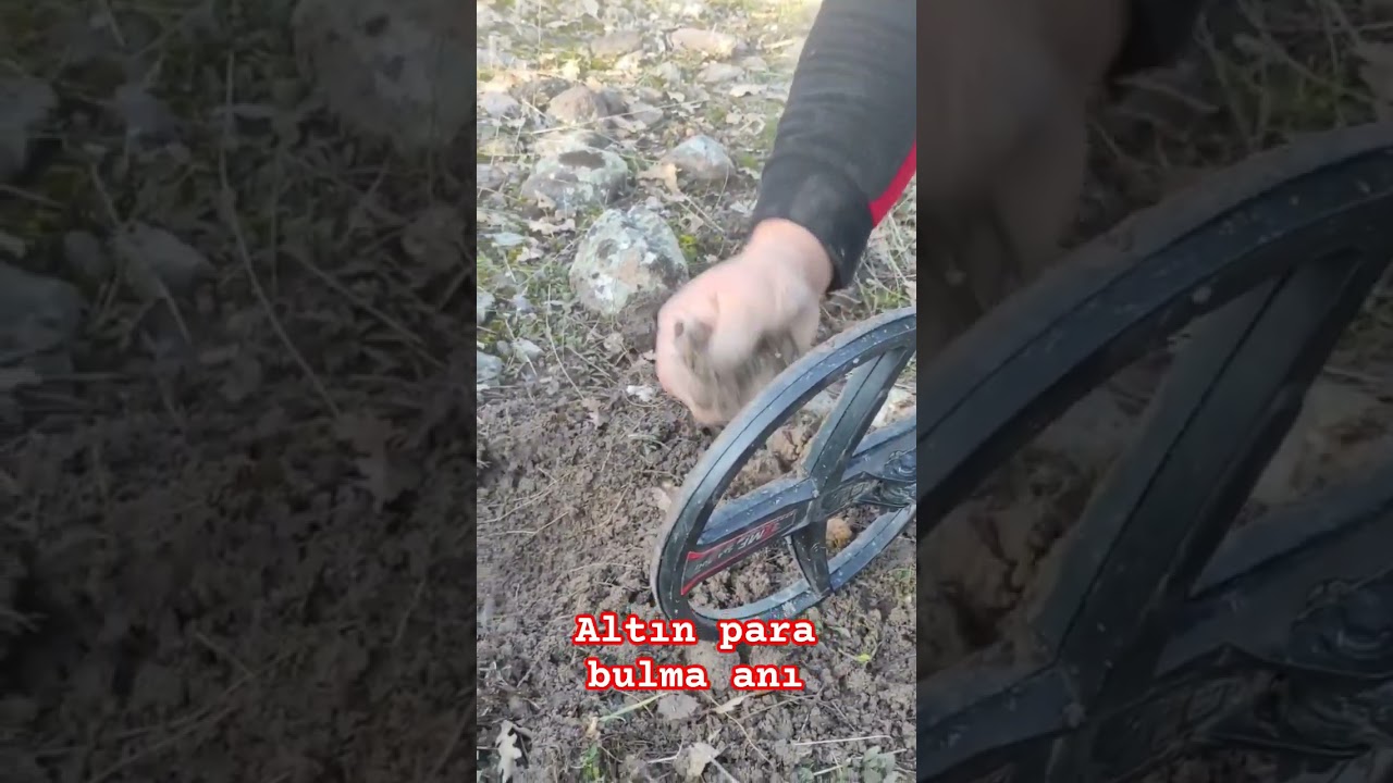 ALTIN PARA XP DEUS 2 İLE #tektek #define #archeology #tektekci #dedekt&ouml;r #metaldetecting