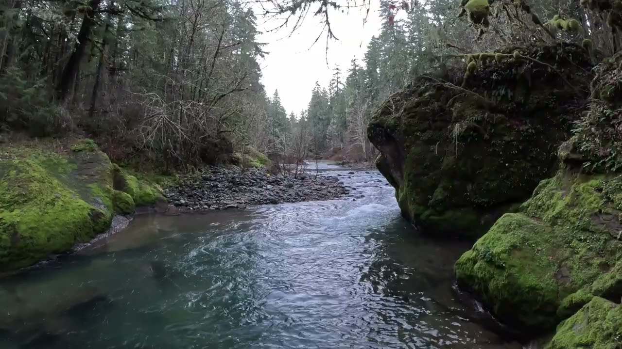 Relax, Refresh, And Rejuvenate To Creek Sounds And Sights / Sharps Creek Oregon Day Turning To Night