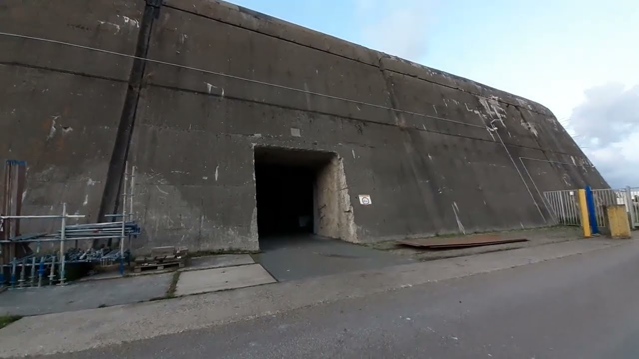 Vleermuizen en meer in de Bunker in IJmuiden