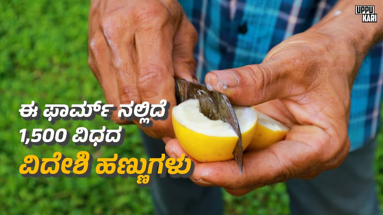 1500 ಥರದ ವಿದೇಶಿ ಹಣ್ಣುಗಳು ಈ ಫಾರ್ಮ್‌ ನಲ್ಲಿವೆ !