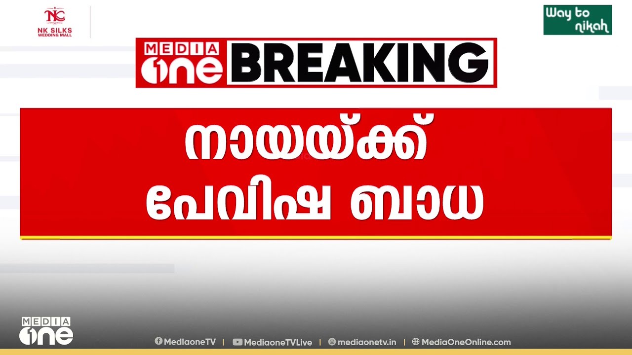 വയോധികയെ കടിച്ചു കൊന്ന  നായക്ക് പേ വിഷബാധ