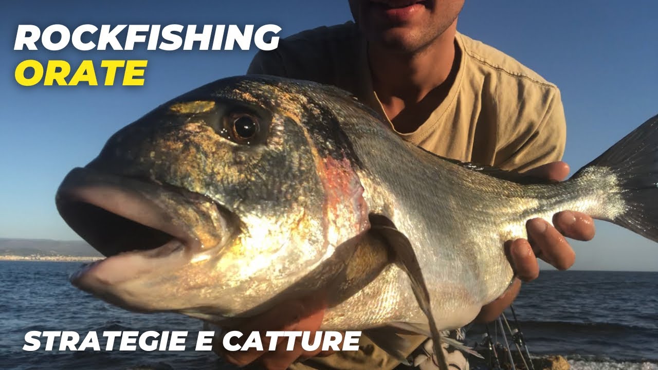 PESCA delle ORATE in SCOGLIERA a ROCKFISHING - strategie e catture