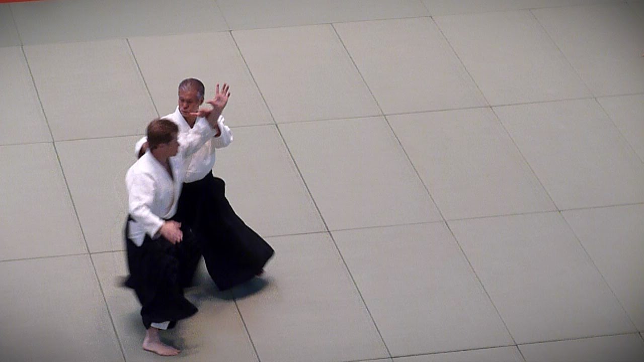 Aikido - Miyamoto Tsuruzo Shihan - 51st All Japan Aikido Demonstration 2013