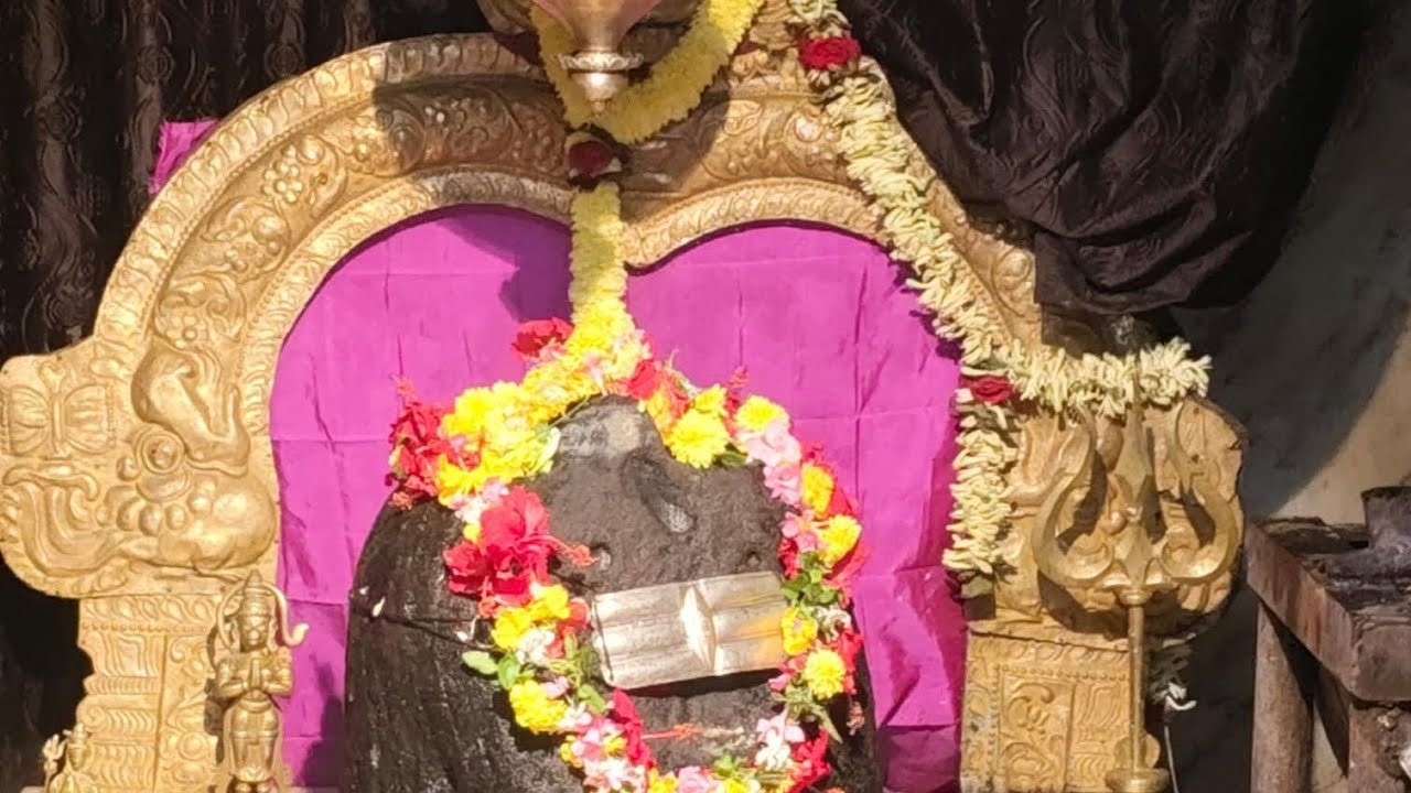 #MAHA SIVARATRI #mahasivaratri #2k26 