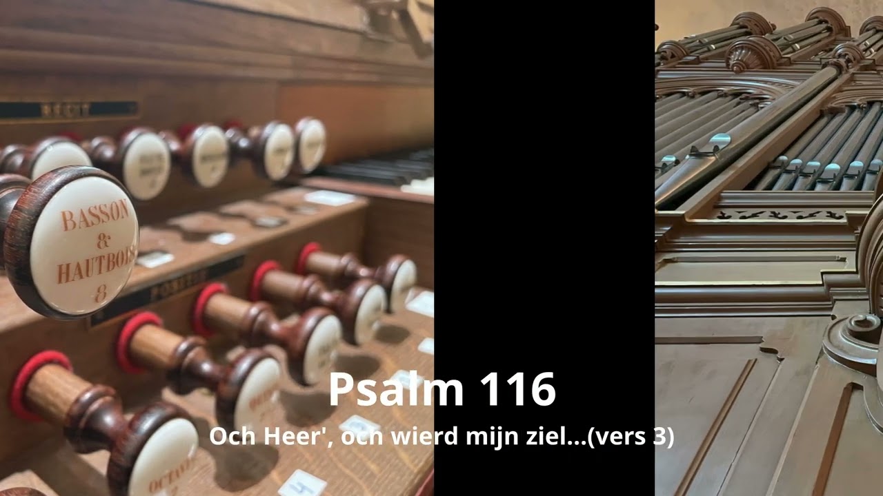 Fred Vink speelt: 'Psalm 116' (Jan Vermeulen)