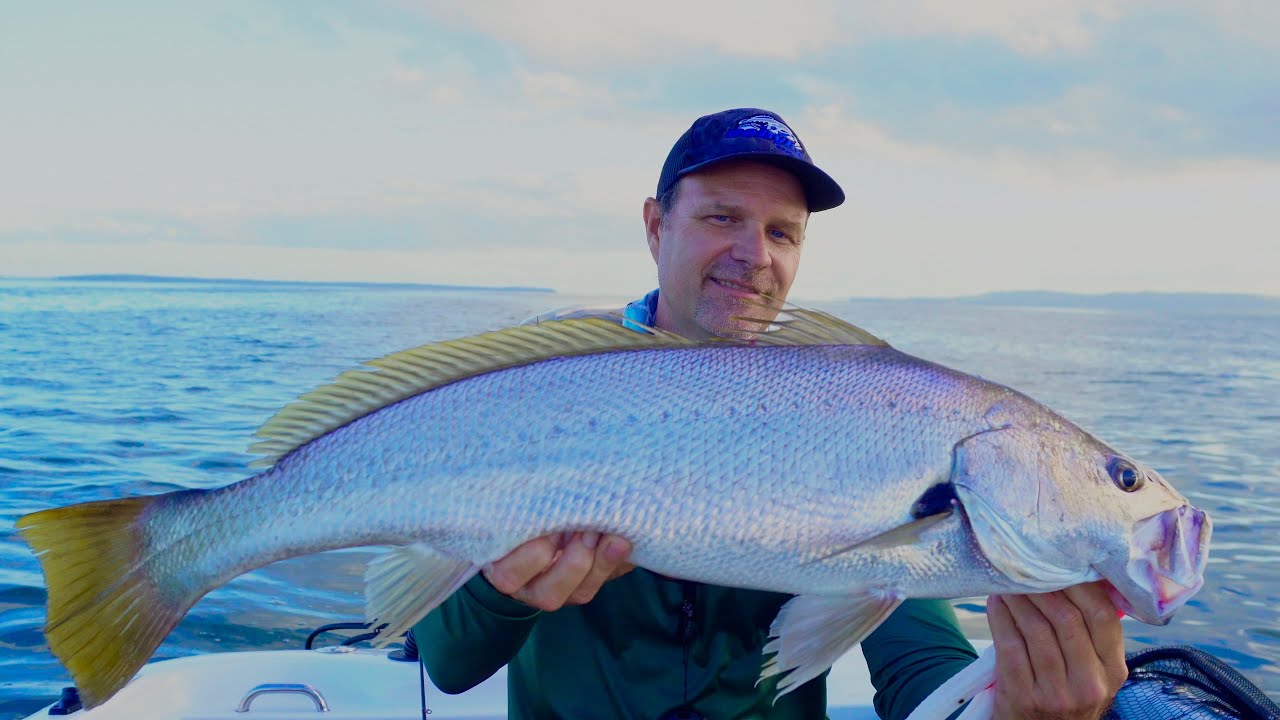 WHAT a start to the fishing year!! Moreton bay 🔥