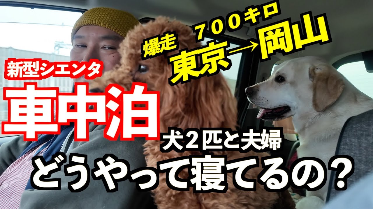 新型シエンタで車中泊『どうやって寝てるの？！』夫婦と大型犬と小型犬との車中泊の様子を公開します！！！　東京から岡山までの移動の様子を動画にしましたVOL91