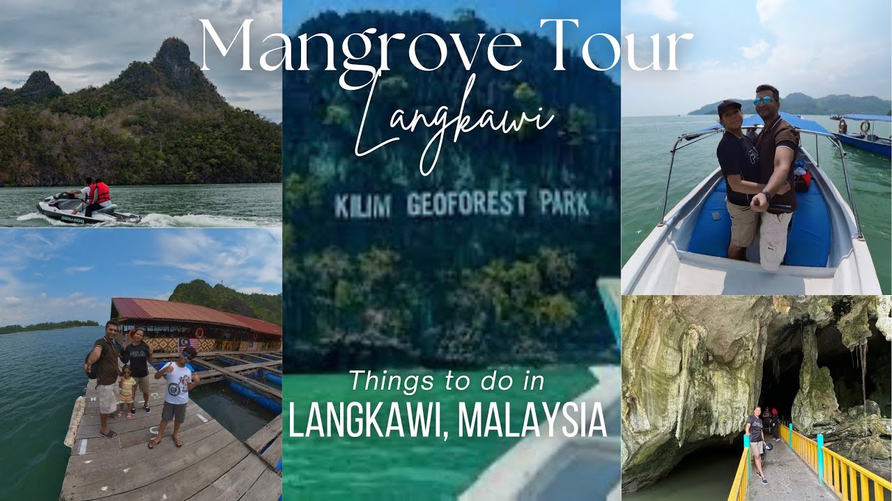 Mangrove Tour | Kilim Geoforest Park | Things to do in Langkawi, Malaysia