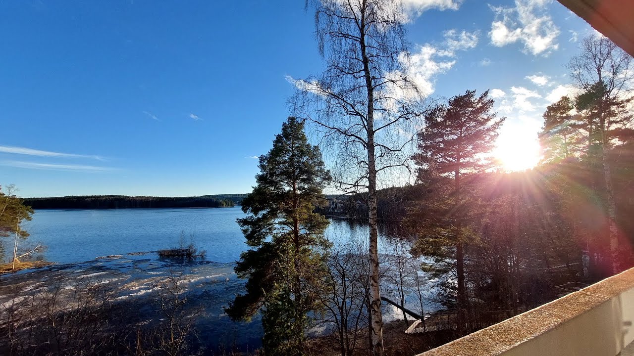 Mitä on Monimuotoinen kehityshäiriö tai Kehitysvamma