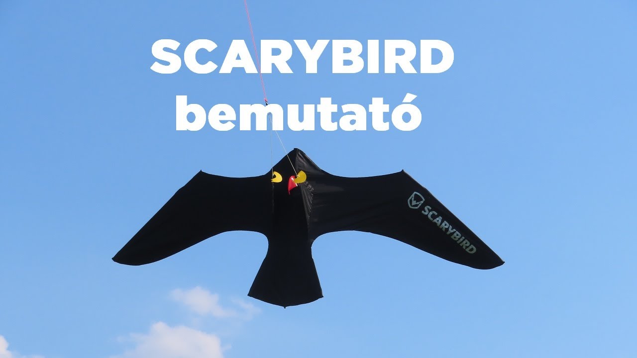 Scarybird bemutató