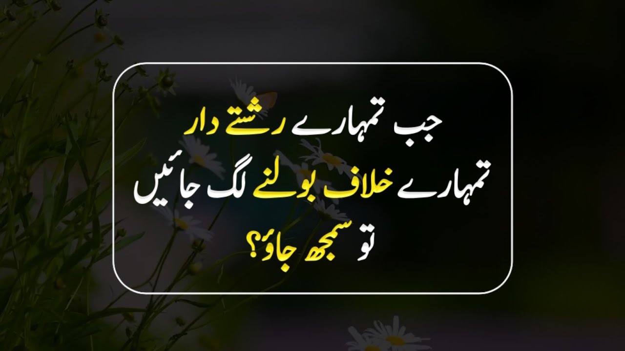 When Your Relatives Start Talking Against You? | Urdu Golden Quotes | Afzal Quotes 