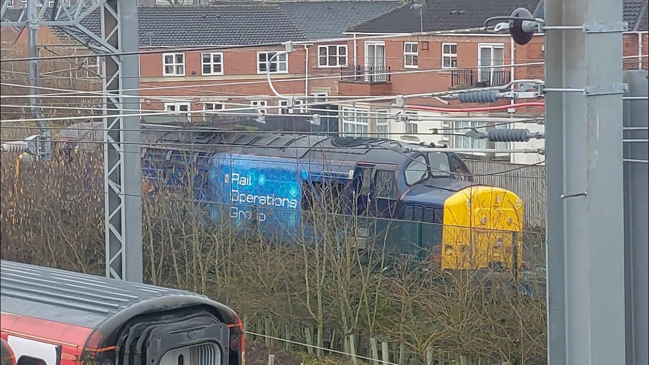 Trains at York 17.02.2024 (including 37s, 66s, units)