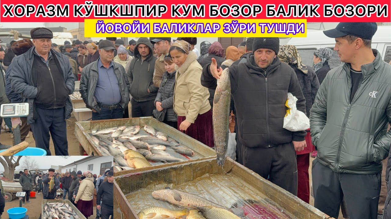 ЙОВОЙИ БАЛИКЛАР ЗЎРИ ТУШДИ ХОРАЗМ КЎШКШПИР КУМ БОЗОР БАЛИК БОЗОРИ 21-февраль 2026 г.