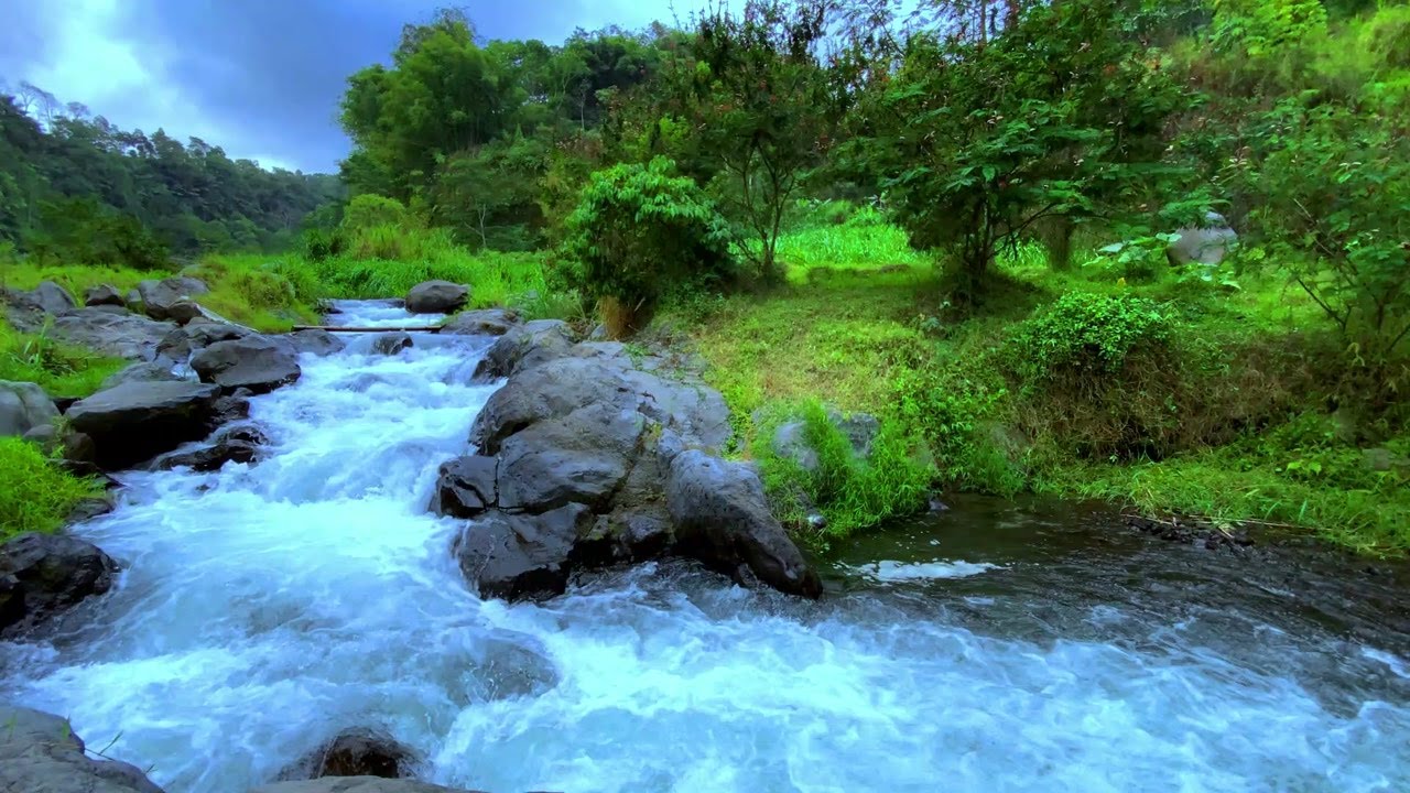 Peaceful River Stream Sounds for Study, Focus & Nature Ambience