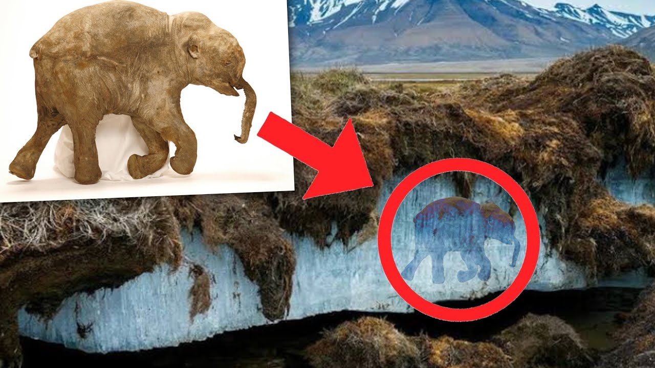 Creepy creatures that lay frozen in ice for tens of thousands of years