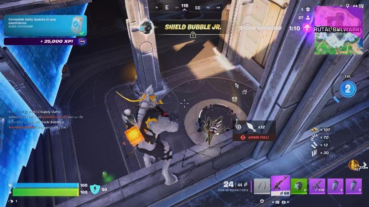 Fortnite victory