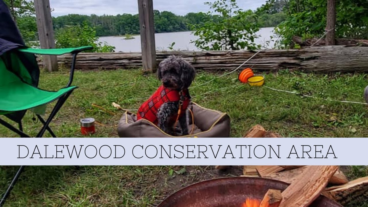 Ontario’s Southwest Camping Road Trip: Part 12 - Dalewood Conservation Area (last one)