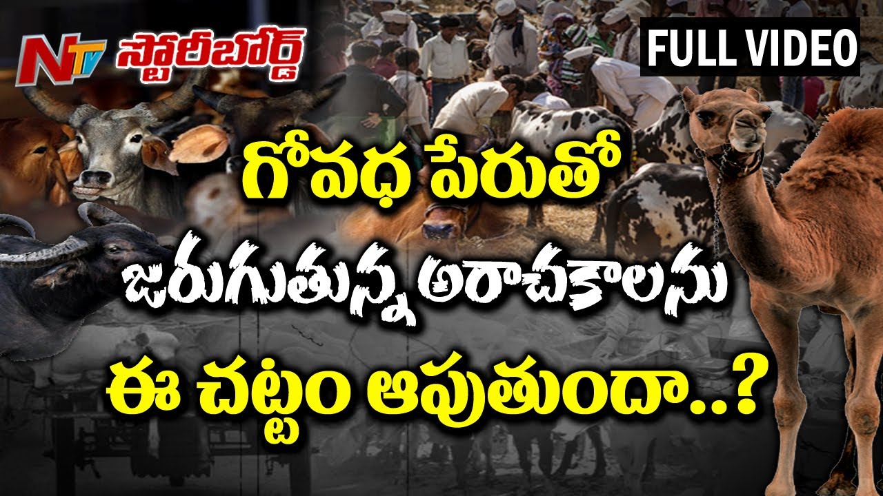 Will the Ban on Sale of Cattle Prevent Cow Slaughter || Story Board || Full
