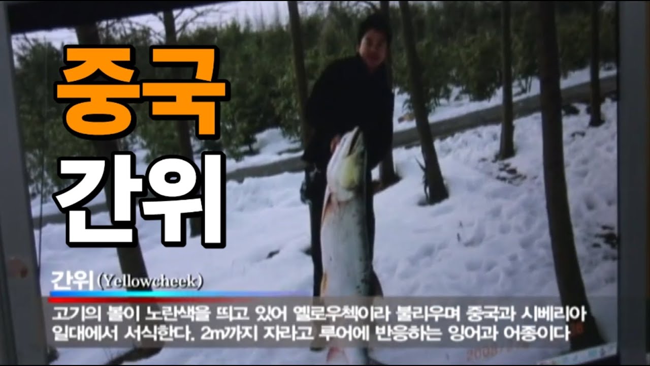 중국에 서식한다는 '간위'를 찾아서