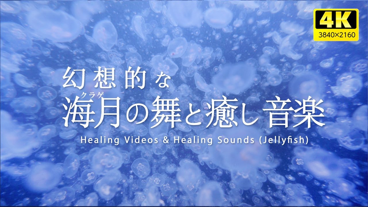 Фантастический танец медуз и лечебная фоновая музыка