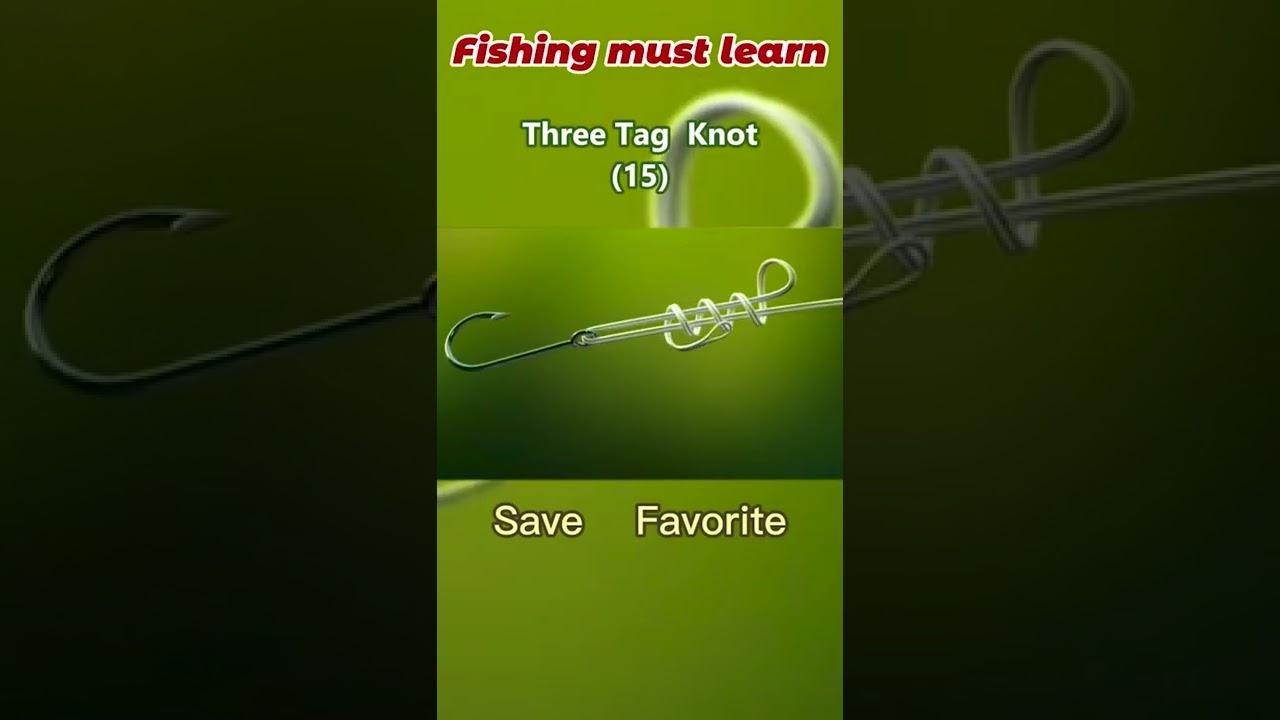 15 Three Tag Knot easy to learn #fishinglife #fishing #fyp #shorts