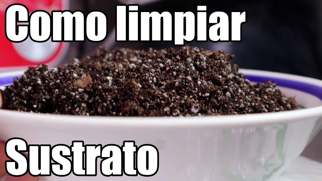 Como esterilizar sustrato || radiación y solarizacion || México Verde