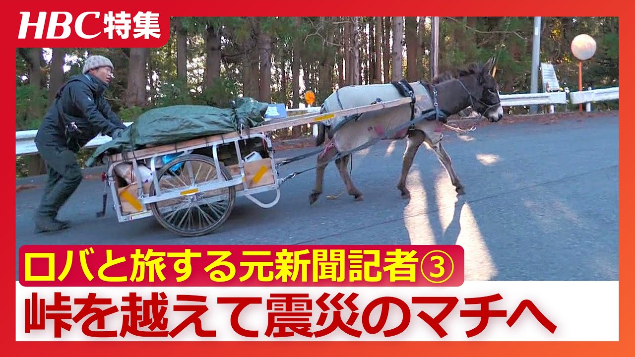 「ロバと一緒に働き合いたい」元新聞記者が相棒クサツネと北海道から千葉へ900キロ　東北のマチで見つめた震災の記憶…“あうんの呼吸”でゴールを目指した2か月の旅