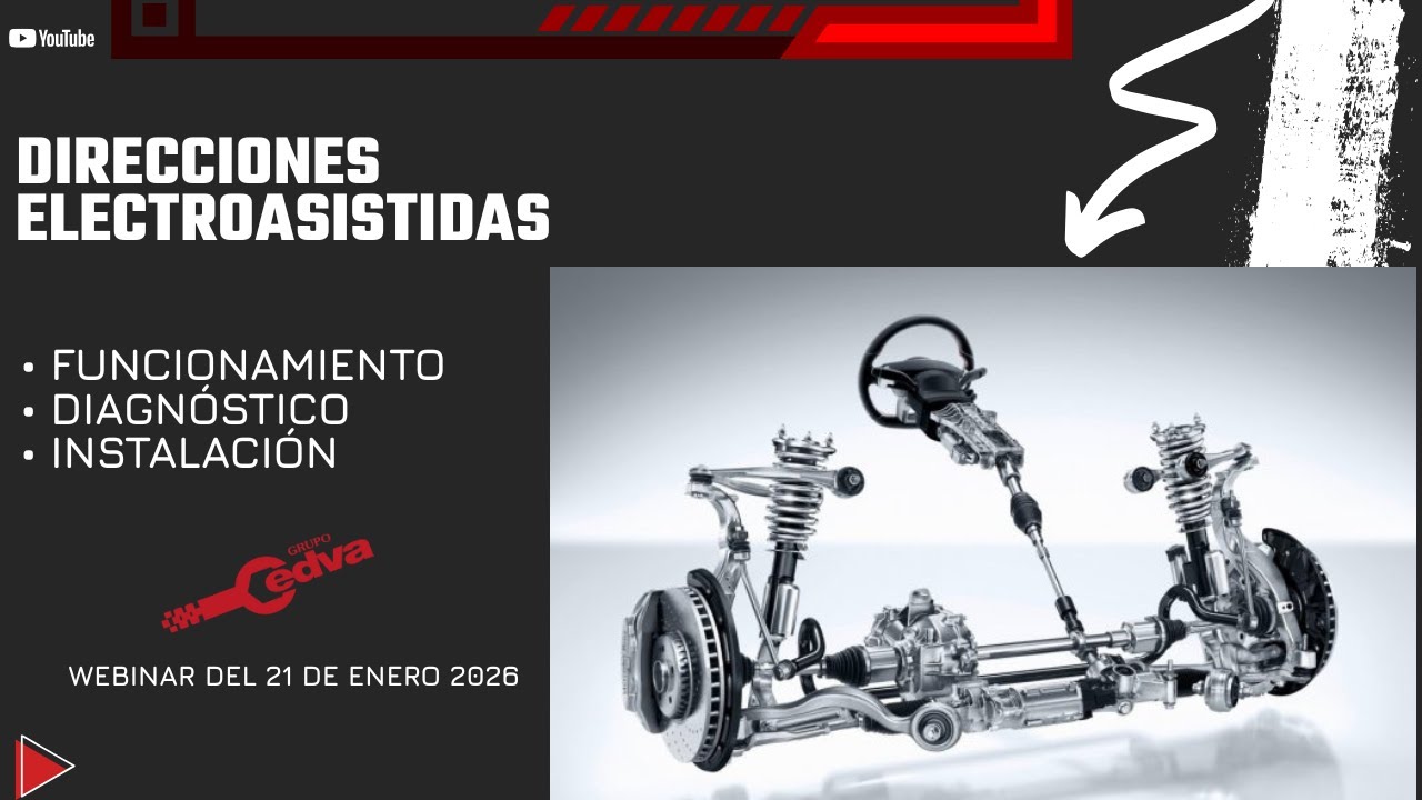 Direcciones Electroasistidas.