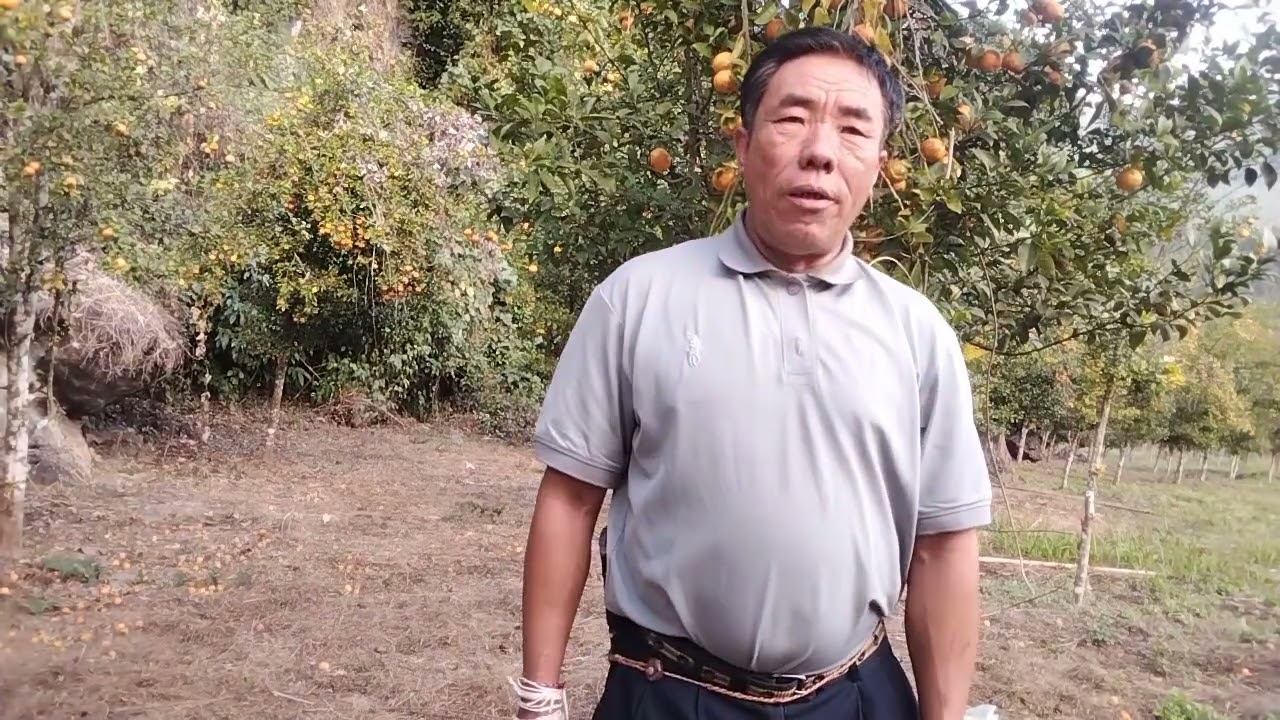 kwv txhiaj nkauj nraug