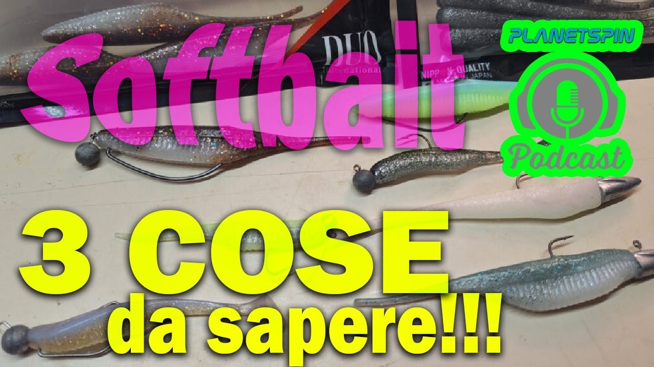 Softbait da Spinning: 4 Regole Fondamentali + ERRORI da Evitare per Prendere più Pesci