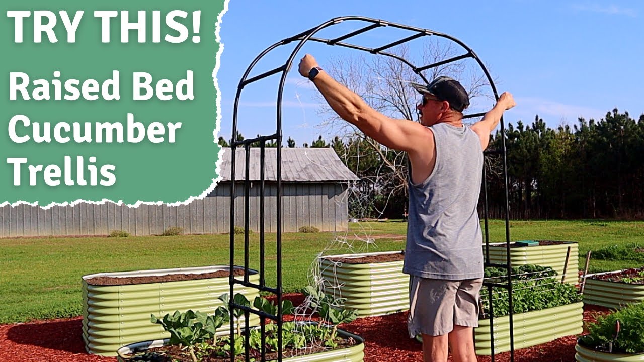 BUILD A RAISED BED TRELLIS IN 5 MINUTES!