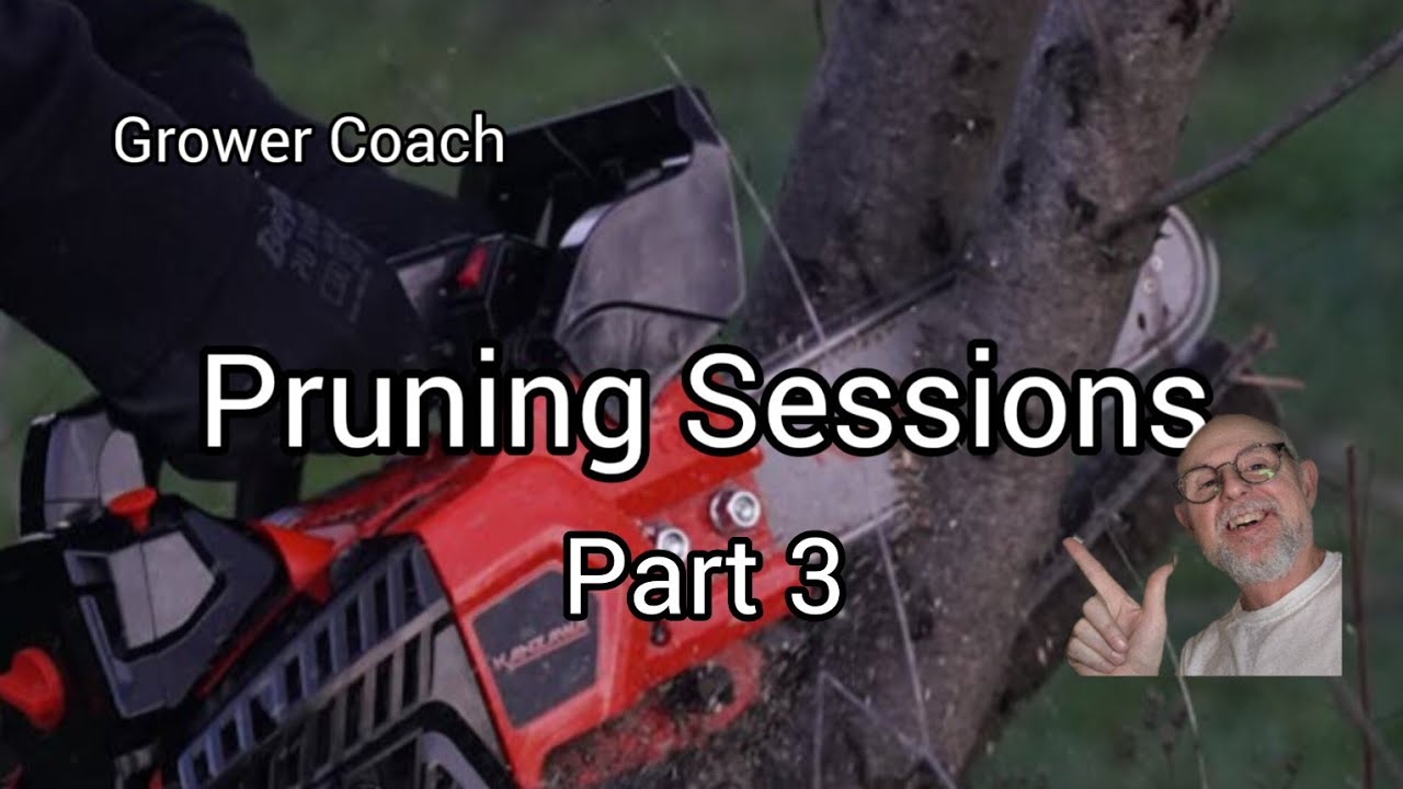 Grower Coach Pruning Sessions part 3, what you dont know about pruning!