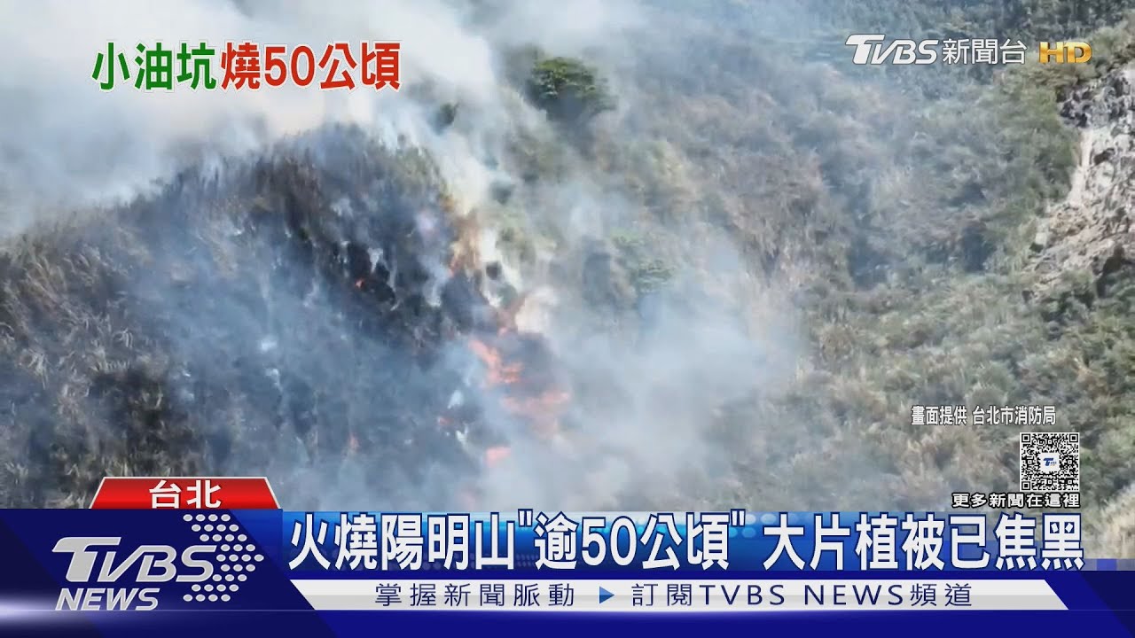 火燒小油坑兇手曝 燒到焦黑聳立山壁上｜TVBS新聞 