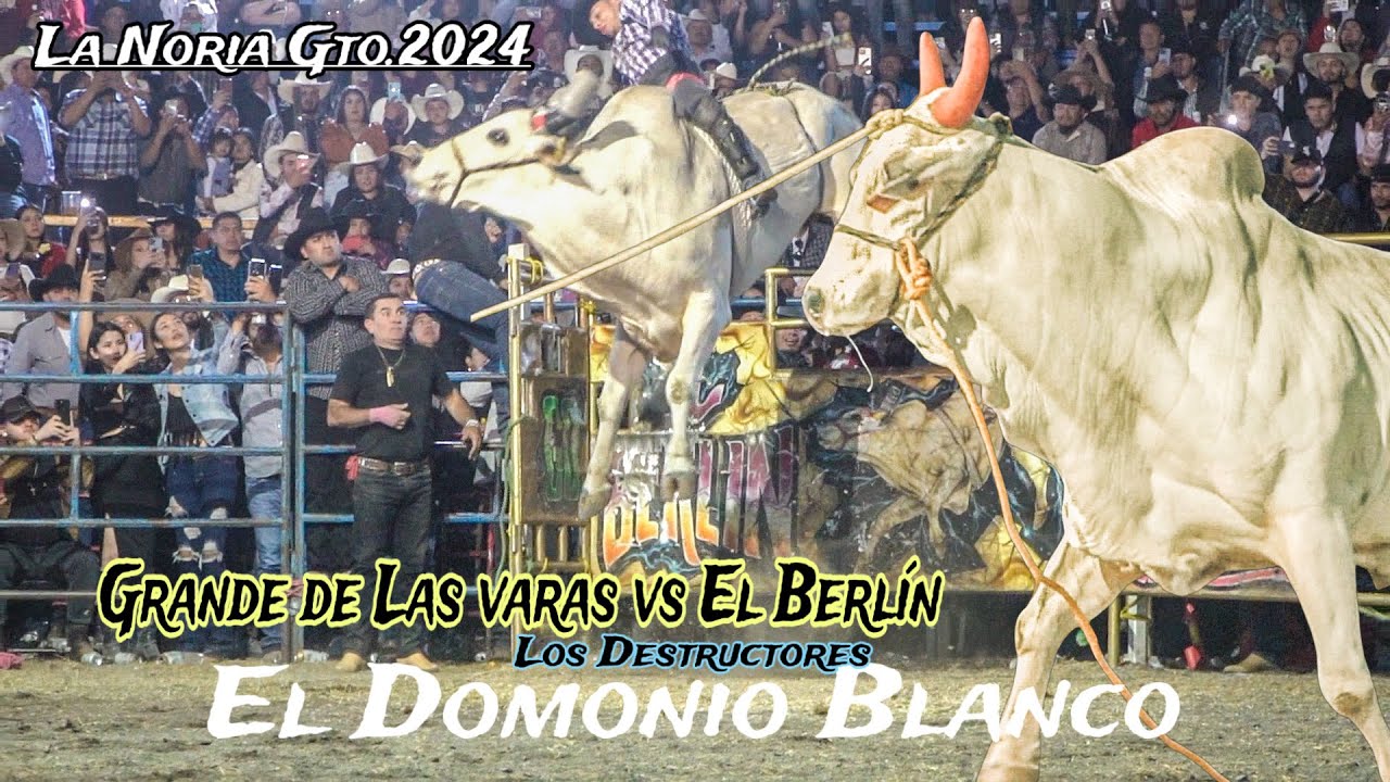 SE PRENDIO LA NORIA GTO CO ESTA MONTA&iexcl;&iexcl; EL GRANDE DE LAS VARAS VS EL BERLIN DE LOS DESTRUCTORES.