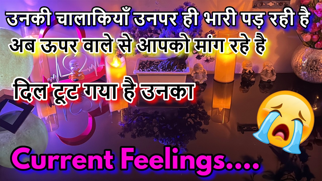 🌺CURRENT FEELINGS TAROT HINDI❤️timeless‼️LOVE READING‼️ALL ZODIAC SIGN⁉️ALL SITUATIONS